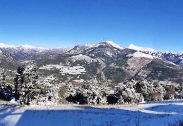 Trail Walking Aspres-sur-Buëch - Montagne Saint-Apôtre  - Photo