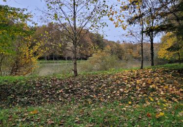 Excursión Senderismo Mesland - BBR 2025-11-19 MESLAND 15km - Photo