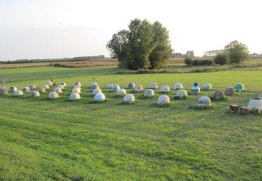 Percorso A piedi Halen - Zilveren Helmenwandeling - Photo