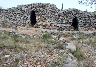 Trail Walking Fitou - Fitou circuit des capitelles  - Photo