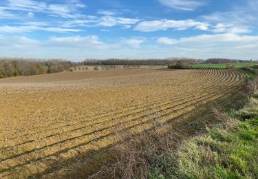 Randonnée Marche Braine-l'Alleud - Bois seigneur Isaac  version splendide  - Photo