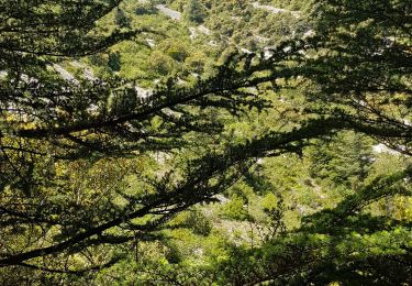 Excursión Senderismo Oppède - oppose la vieux - Photo