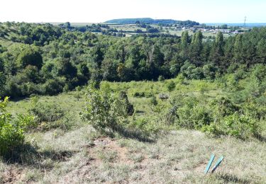 Tour Wandern Parigny-les-Vaux - parigny les vaux  - Photo