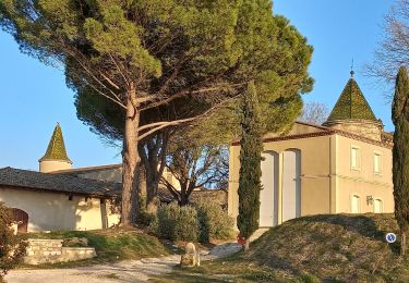 Randonnée Marche Vernègues - Chateau Bas Vernègues - Photo