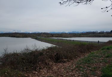 Trail Walking Luquet - Luquet petit lac 2024 - Photo