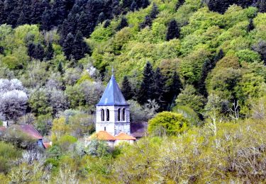 Randonnée Marche La Goutelle - La_Goutelle_Moulin_Quarte - Photo