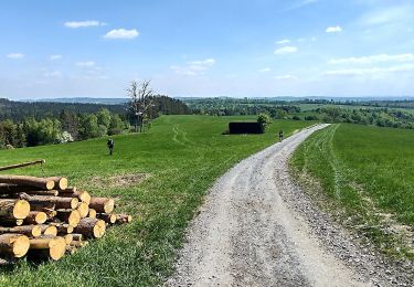 Randonnée A pied Andělská Hora - [Ž] Ovčárna - Brantice - Photo