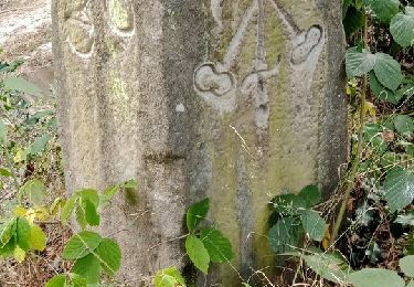 Tour Wandern Coincy - Coincy 