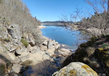 Percorso Marcia Naussac-Fontanes - lac de naussac - Photo