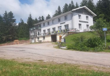 Tocht Wegfiets Saint-Nabord - Rochesson le haut du tôt  - Photo