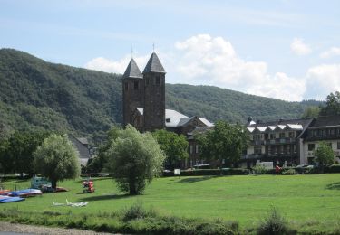 Tour Zu Fuß Bruttig-Fankel - Breva Wein & Weg - Photo