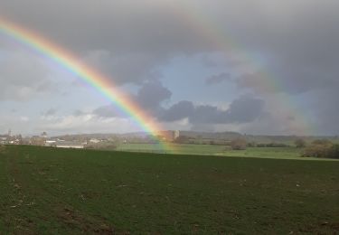 Tour Wandern Durbuy - Deux boucles d'Izier à Izier 22kms - Photo