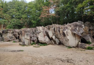 Randonnée Marche Palaiseau - La carrière de la troche - Photo