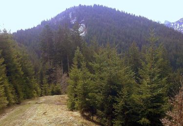 Tour Zu Fuß Bad Wiessee - Wanderweg 603 - Bayerische Voralpen - Photo