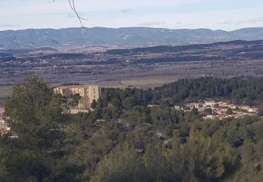 Tocht Stappen Meyrargues - Meyrargues - Par vallon de Lazare - Photo