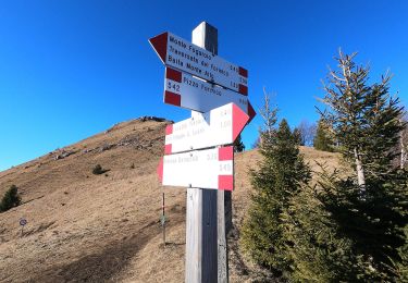 Tocht Te voet Gandino - Barzizza – Tribulina di Guazza – Capanna Ilaria – Pizzo Formico - Photo