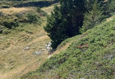 Tocht Stappen Entremont-le-Vieux - la Plagne le Pinet :en boucle partielle à  partir de la bifurcation GR9 et montée au Pinet - Photo