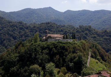 Excursión A pie Treviso Bresciano - Trebbio - San Liberale - Forte di Valledrane - Photo