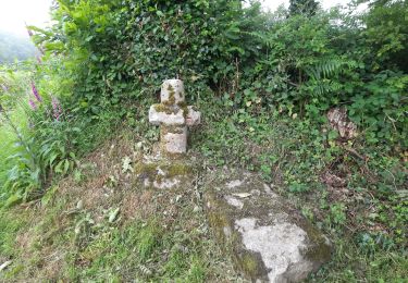 Excursión Senderismo Maen-Roch - GR_37_AD_18_Maen-Roch_Chatellier_20210617 - Photo