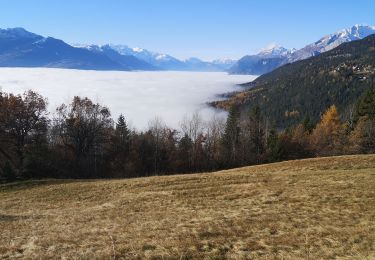 Excursión Marcha nórdica Arbaz - les 2 bisses  - Photo