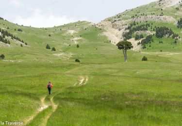 Tocht Stappen Gresse-en-Vercors -  Pas des Baschassons - Carrière romaine - Pas de la Selle - Photo