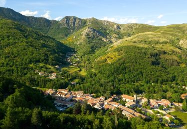 Randonnée Marche Saint-Cirgues-en-Montagne - Rieutord Bauzon Vestide 13km - Photo