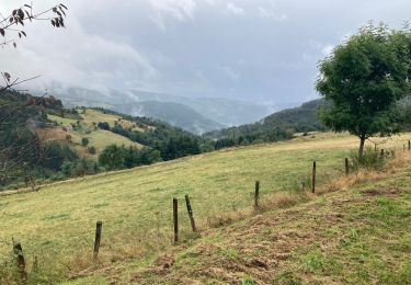 Trail Walking Lalouvesc - Lalouvesc - Photo