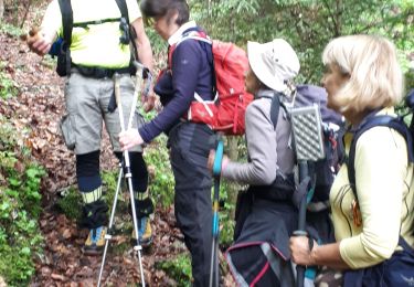 Tocht Stappen Engins - Pas du curé / pas de la corne en circuit - Photo