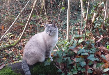 Trail Walking Livron - Livron confiné à la vitesse du chat... - Photo