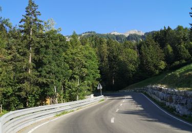 Excursión Senderismo Ayent - bisse d'Ayen  - Photo
