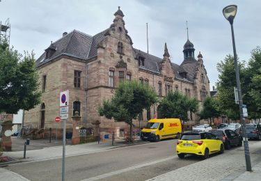 Randonnée Marche Saverne - Grotte St Vit & Rappenfels - Photo