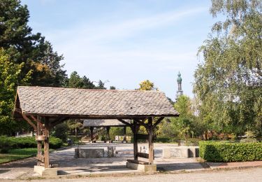 Tocht Te voet Valgreghentino - Sentiero 9: Campiano - Consonno - Olginate - Photo