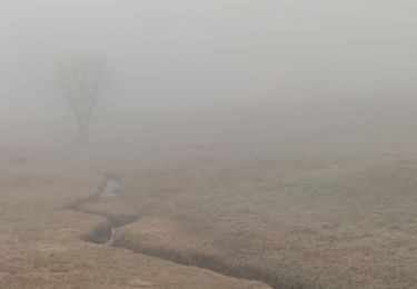 Tocht Stappen Perpezat - perpezat - Photo