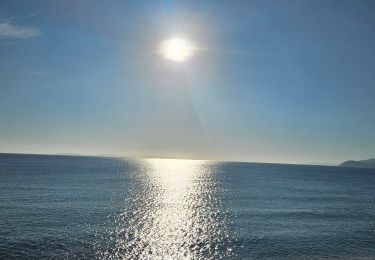 Tocht Stappen La Croix-Valmer - Boucle en partant de la plage de Gigaro - Photo