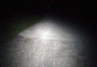 Trail Walking Durbuy - RAC Durbuy  - Photo
