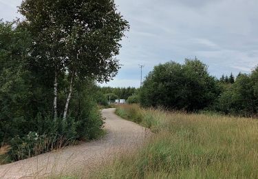 Percorso Marcia Waimes - Promenade de Poleur  - Photo