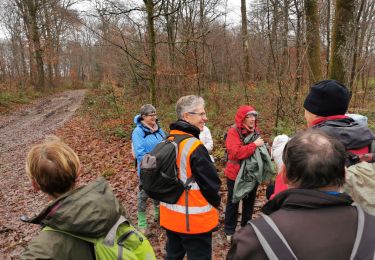 Tour Wandern Souligny - Souligny - Photo