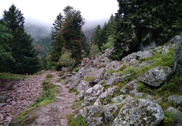 Tour Wandern Urbeis - Les deux lacs - Photo
