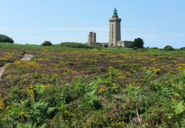 Tour Wandern Plévenon - Cap Fréhel - 2017 06 22 - Photo