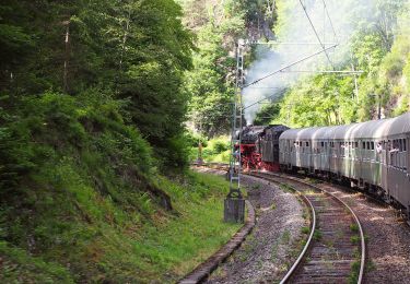 Randonnée A pied Triberg im Schwarzwald - Triberg - Staude - Photo