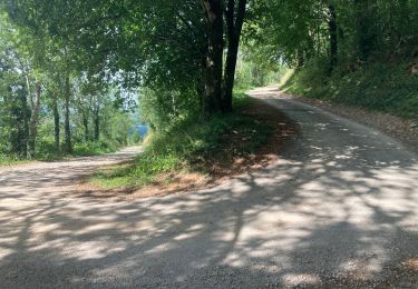 Trail Walking Val-Revermont - Le mont Myon  - Photo