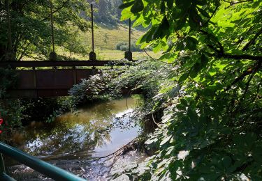 Tour Wandern Beaumont - Beaumont.  Leval Chaudeville - LONG - Photo