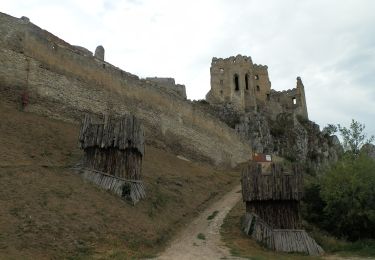 Excursión A pie okres Nové Mesto nad Váhom - Náučný chodník Sychrov - Photo