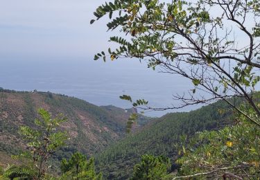 Randonnée Marche Saint-Raphaël - la dent de l'ours Esterel - Photo