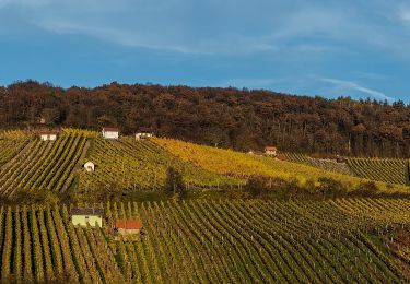 Tocht Te voet Donnersdorf - Falkenberger Hüttentour - Photo