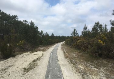 Percorso Bici ibrida Carcans - Maubuisson Lacanau Nord - Photo