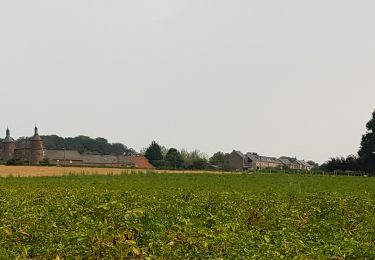 Tocht Stappen Nijvel - Vallée de la Thines_0820 - Photo