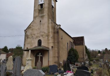 Tocht Te voet Montbarrey - Sentier des radeliers - Photo