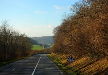 Excursión A pie La Feuillie - Les Orchidées - Photo