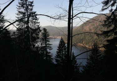 Trail Walking Xonrupt-Longemer - 25022021 Les trois lacs - Photo